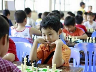 Các khóa học và chương trình đào tạo chơi cờ vua